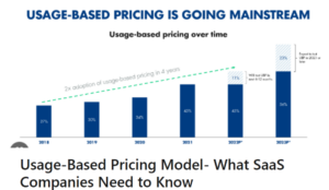 Usage-Based Pricing Model- What SaaS Companies Need to Know